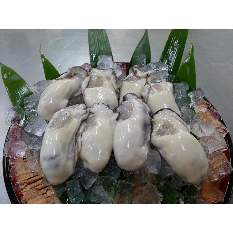 広島県産生牡蠣　むき身1kg 生産者直送 |  | 02