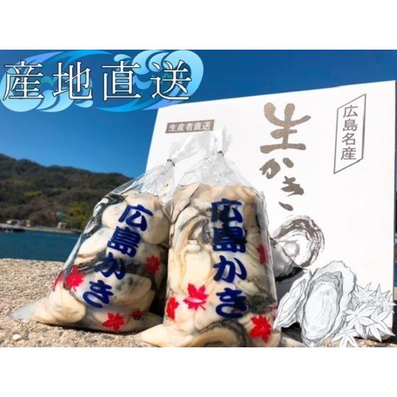 広島県産生牡蠣　むき身2kg 生産者直送｜marujuu｜03