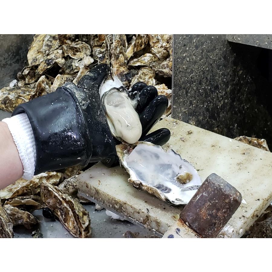 広島県産生牡蠣　むき身4kg 生産者直送 |  | 06