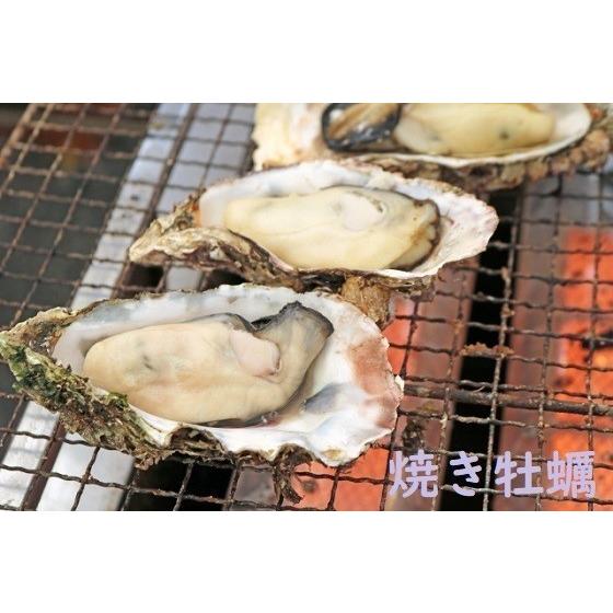 広島県産殻付き牡蠣　殻付き2kg かき小町　生産者直送 |  | 08