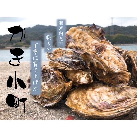 広島県産殻付き牡蠣　殻付き4kg　かき小町　生産者直送 |  | 01