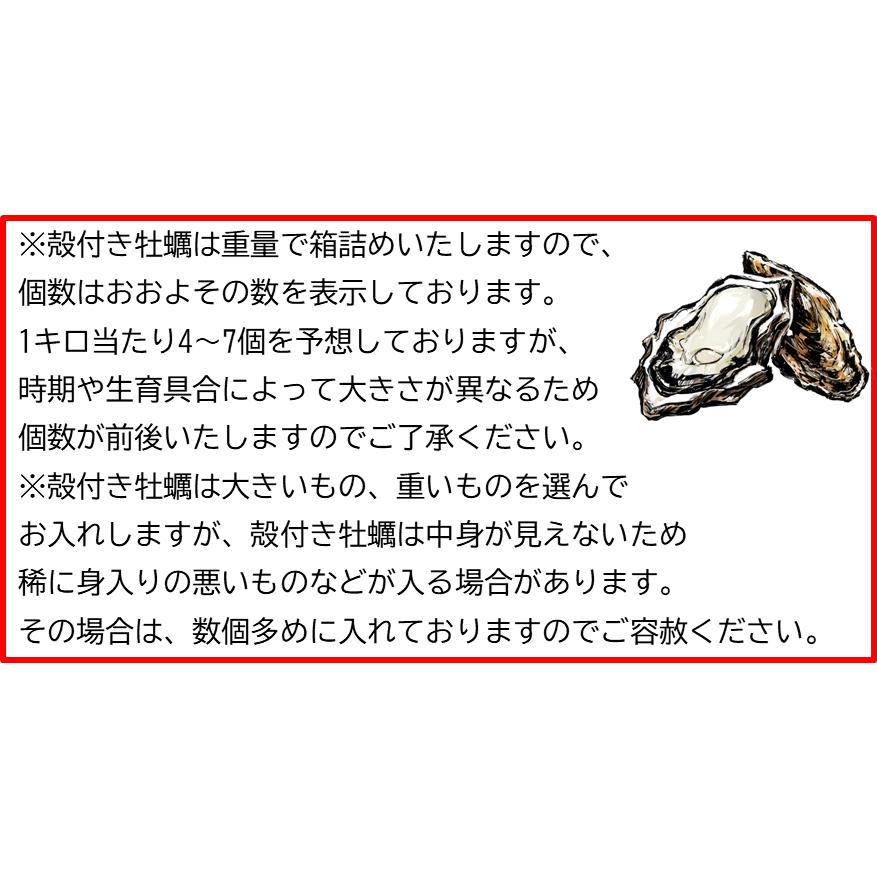 広島県産殻付き牡蠣　殻付き4kg　かき小町　生産者直送 |  | 05