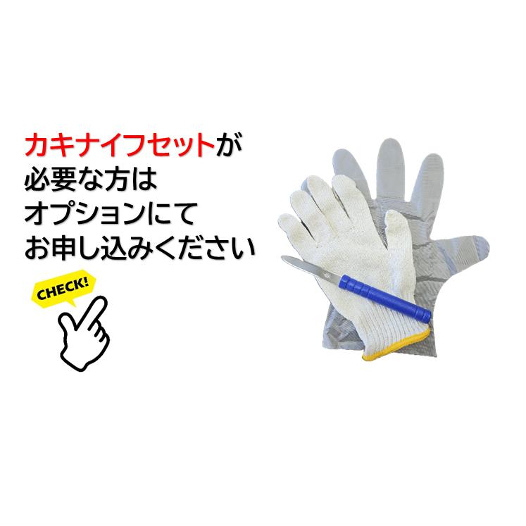 広島県産殻付き牡蠣　殻付き6kg　かき小町　生産者直送 |  | 04