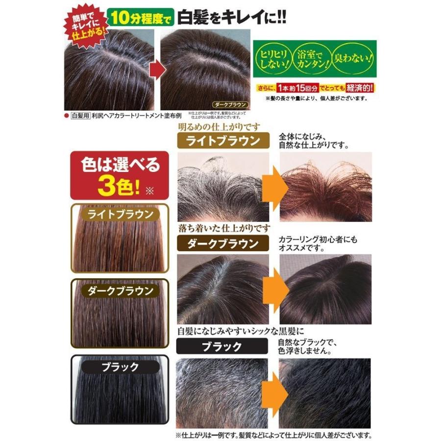 利尻ヘアカラートリートメント白髪染め 0g 1本 毛染めブラシ1本 オレンジ セット ダークブラウン Www Arilab Com Tr Index Php
