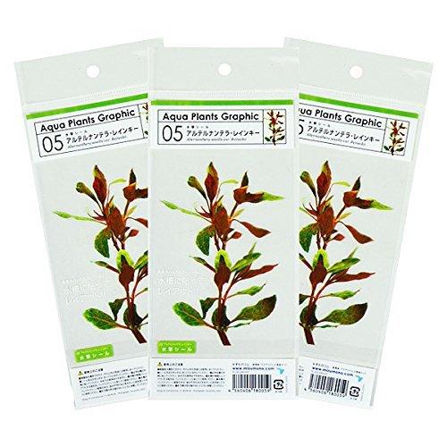 水草シール3枚セット 05 アルテルナンテラ レインキー Majesticxpress Com