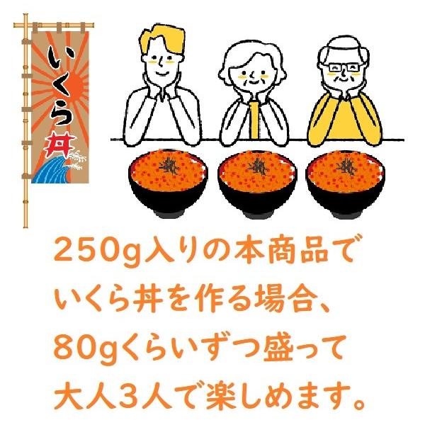 【まるで赤い宝石！】北海道産秋鮭いくら正油漬　250g　ギフト　イクラ　お土産　いくら丼　海鮮丼｜marukai-nishizawa｜03