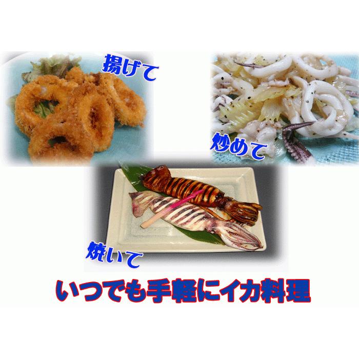 お刺身用烏賊 船内冷凍いか スルメイカ 10杯 1本凍結 日本海産 Y 16 株 マル海渡辺水産 通販 Yahoo ショッピング