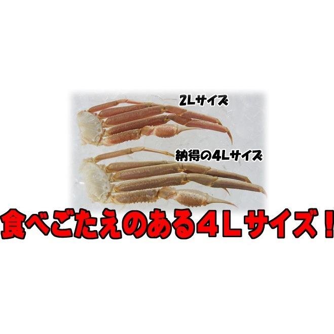 【個数限定】かにすきセット 約2.5kg 8肩4Ｌサイズ (かにすきダシ 2個付)｜marukai1970｜03