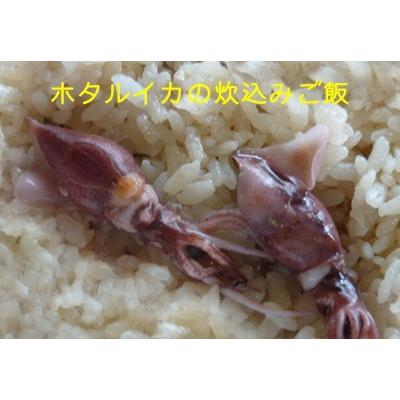 【申込期間:2025年5月20日頃まで】旬の（生）ほたるいか　たっぷり約3.0kg入り【送料無料】