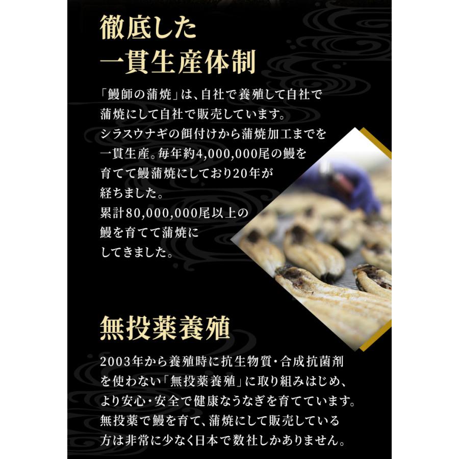 うなぎ 蒲焼き 鰻 国産 鹿児島県産 無投薬 約140g×2尾 化粧箱 ギフト プレゼント 誕生日 冬ギフト 御祝い ウナギ｜marukai｜11