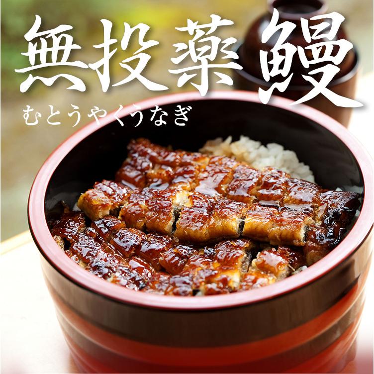 鹿児島県産 約140g×3尾 化粧箱入り 鰻 蒲焼き 土用 丑の日 国産 うなぎ ギフト ウナギ ご褒美 プレゼント 鰻師 無投薬 メッセージカード対応 :75-422:小浜海産物 Yahoo!店 - 通販 - Yahoo!ショッピング 鹿児島県産 約140g×3尾 化粧箱入り 鰻 蒲焼き 土用 丑の日 国産 うなぎ ギフト ウナギ ご褒美 プレゼント 鰻師 無投薬 メッセージカード対応 :75-422:小浜海産物 Yahoo!店 - 通販 - Yahoo!ショッピング