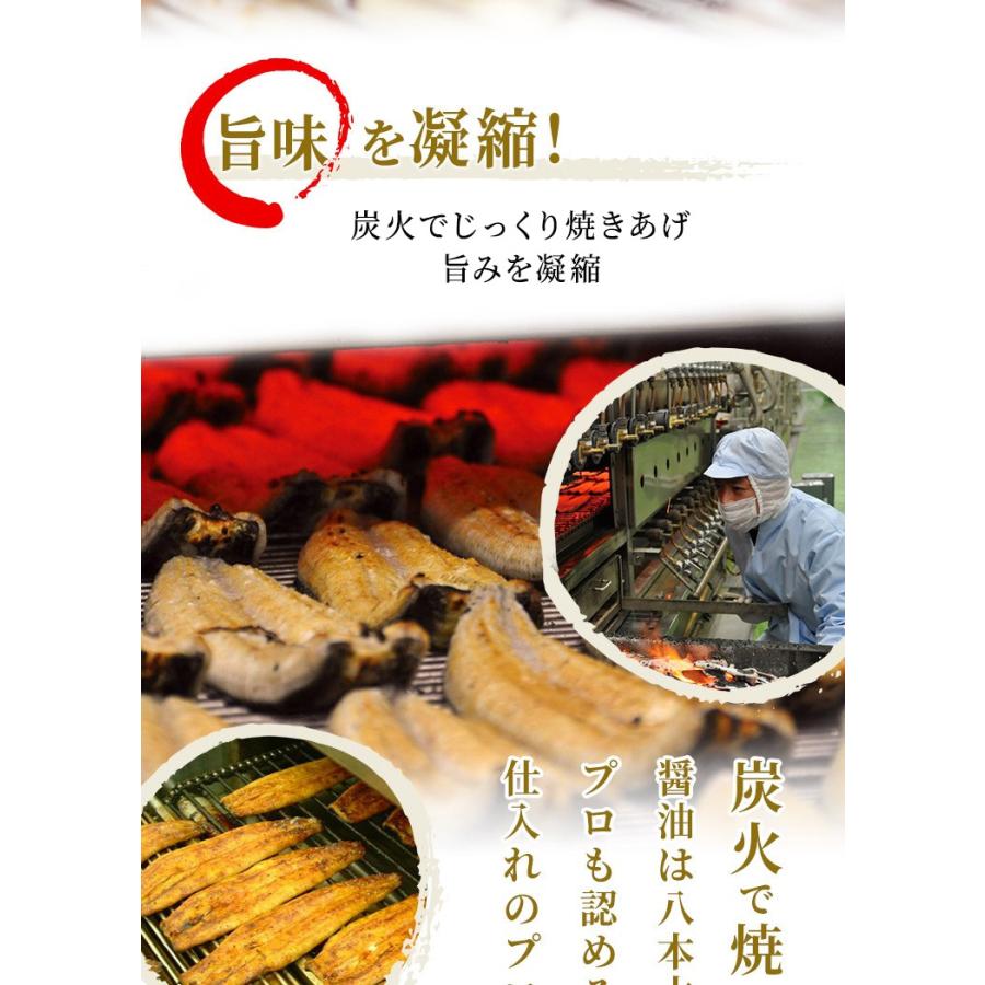 うなぎ 鰻 ウナギ 御歳暮 鹿児島県産 特大サイズ 約200g×2尾 化粧箱入り 国産 ギフト 蒲焼き ギフト プレゼント 鰻師 無投薬 贈り物 メッセージカード対応 :75-423:小浜海産物 Yahoo!店 - 通販 - Yahoo!ショッピング うなぎ 鰻 ウナギ 御歳暮 鹿児島県産 特大サイズ 約200g×2尾 化粧箱入り 国産 ギフト 蒲焼き ギフト プレゼント 鰻師 無投薬 贈り物 メッセージカード対応 :75-423:小浜海産物 Yahoo!店 - 通販 - Yahoo!ショッピング