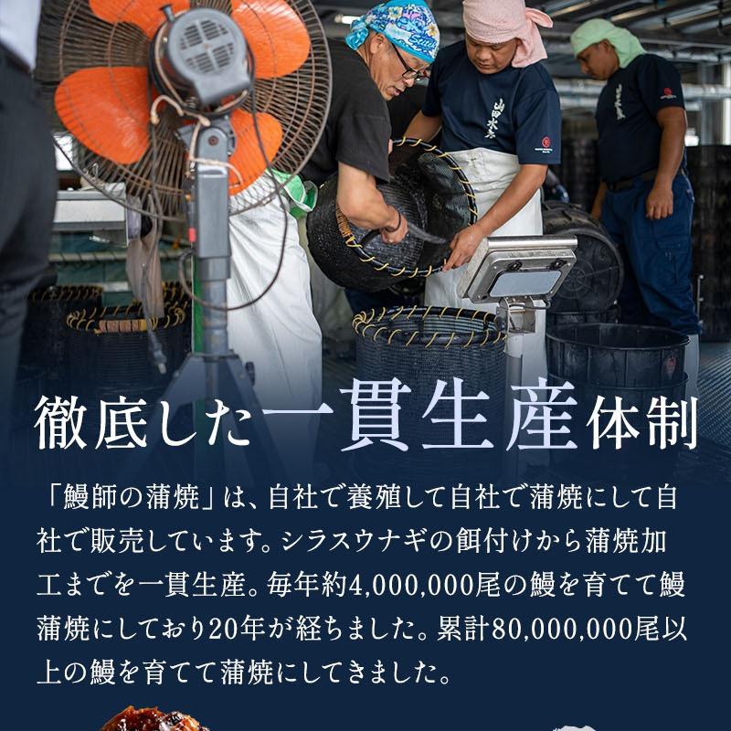 うなぎ蒲焼き 鰻 国産 鹿児島県産 地焼き 関西風 有頭 約160g×2尾 化粧箱 ギフト プレゼント 誕生日 冬ギフト 御祝い 鰻師 無投薬｜marukai｜12