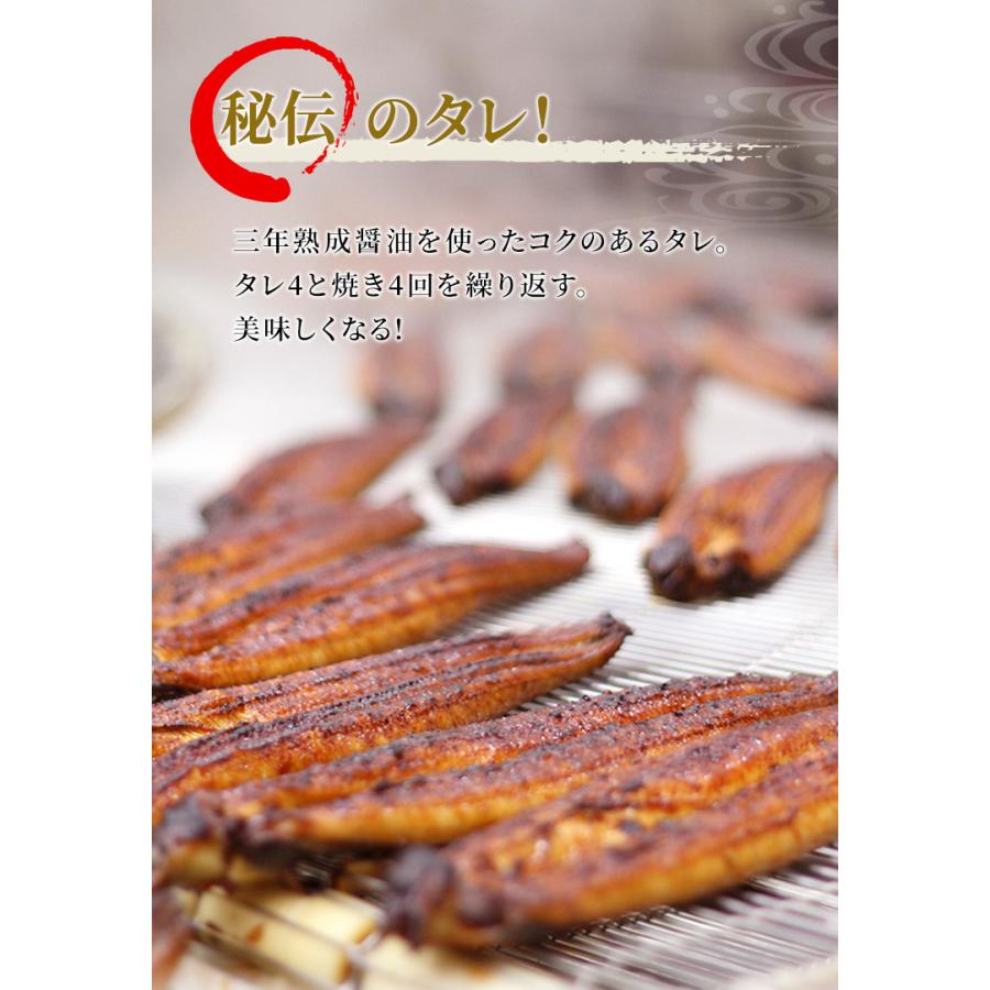鹿児島県産 地焼き 約160g×2尾 化粧箱入り 秋の土用 丑の日 国産 うなぎ ギフト 鰻 蒲焼き 御歳暮 ウナギ プレゼント 鰻師 無投薬 メッセージカード対応 :75-424:小浜海産物 Yahoo!店 - 通販 - Yahoo!ショッピング 鹿児島県産 地焼き 約160g×2尾 化粧箱入り 秋の土用 丑の日 国産 うなぎ ギフト 鰻 蒲焼き 御歳暮 ウナギ プレゼント 鰻師 無投薬 メッセージカード対応 :75-424:小浜海産物 Yahoo!店 - 通販 - Yahoo!ショッピング