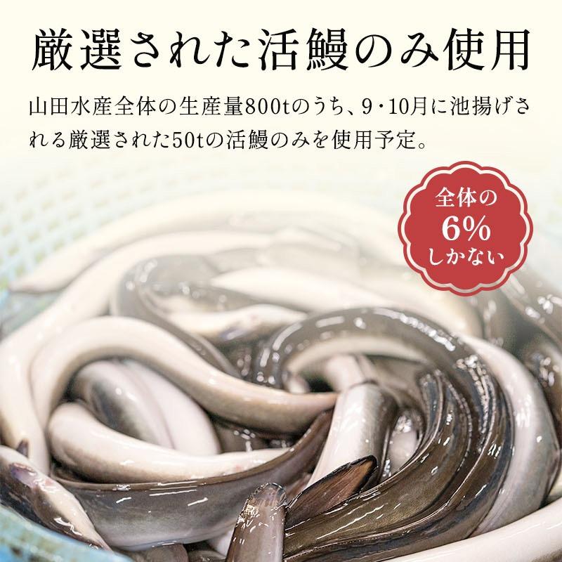 うなぎ カット済 個包装 鹿児島県産 うなぎ蒲焼き 約65g×16パック 化粧箱 うなぎ 蒲焼き 鰻 国産 贈り物 プレゼント 誕生日 母の日 無投薬｜marukai｜09