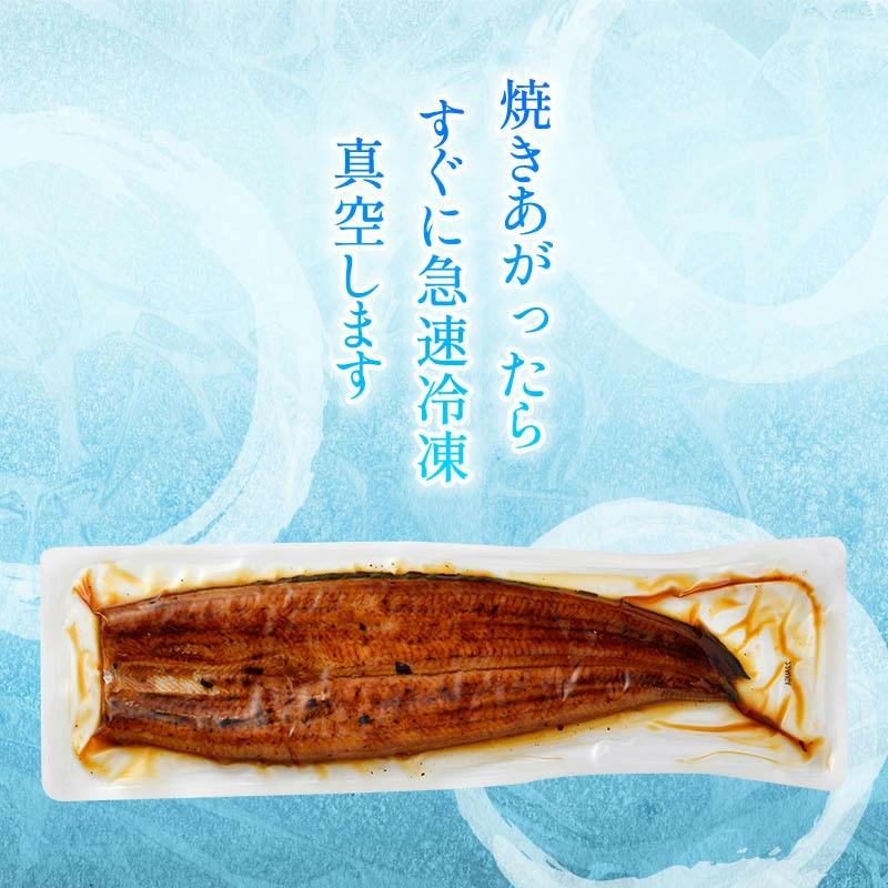 うなぎ蒲焼き 国産 約140g×1尾 鹿児島県産 化粧箱入り 完全無投薬 メッセージ無料 うなぎ ウナギ 鰻 贈り物 ギフト 爆買 父の日 お中元 丑の日 | 小浜海産物 | 15