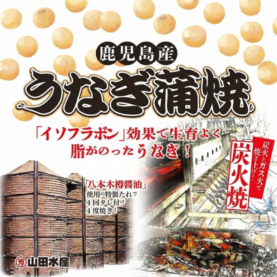 うなぎ蒲焼き 国産 約140g×1尾 鹿児島県産 化粧箱入り 完全無投薬 メッセージ無料 うなぎ ウナギ 鰻 贈り物 ギフト 爆買 父の日 お中元 丑の日 | 小浜海産物 | 13