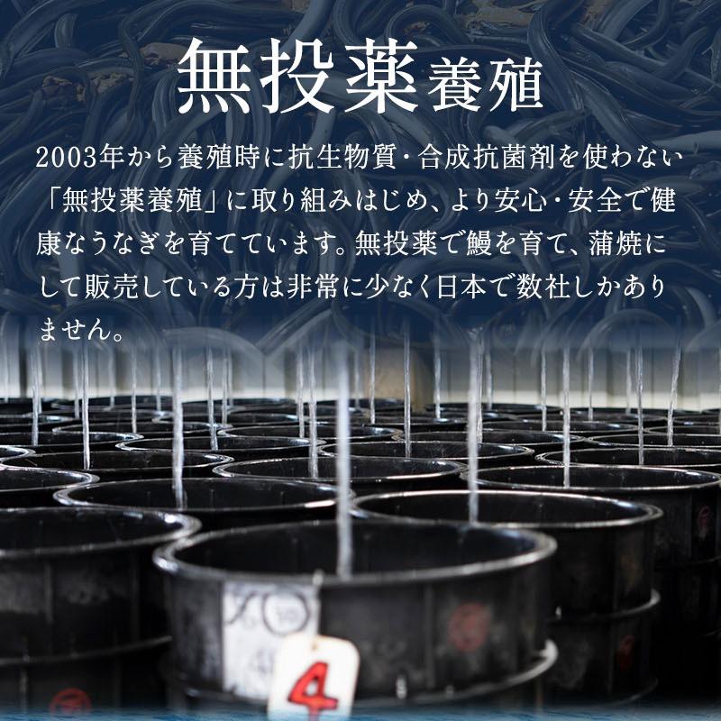 うなぎ蒲焼き 国産 約140g×1尾 鹿児島県産 化粧箱入り 完全無投薬 メッセージ無料 うなぎ ウナギ 鰻 贈り物 ギフト 爆買 父の日 お中元 丑の日 | 小浜海産物 | 06