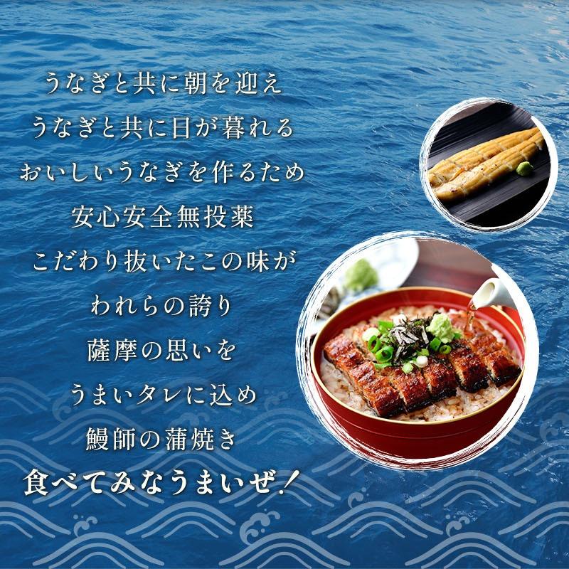 うなぎ蒲焼き 国産 約140g×1尾 鹿児島県産 化粧箱入り 完全無投薬 メッセージ無料 うなぎ ウナギ 鰻 贈り物 ギフト 爆買 父の日 お中元 丑の日 | 小浜海産物 | 07
