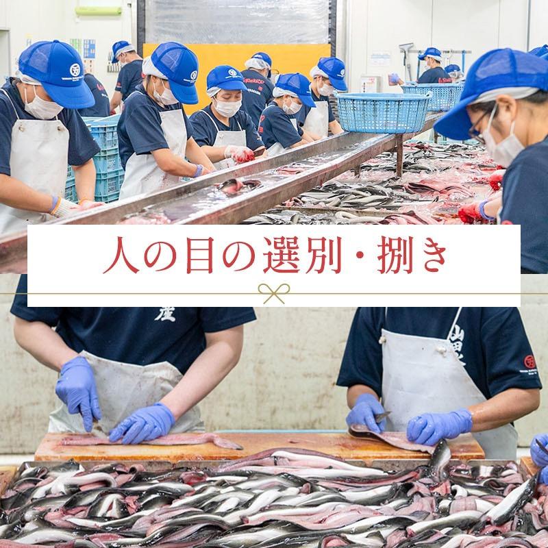うなぎ蒲焼き 国産 約140g×1尾 鹿児島県産 化粧箱入り 完全無投薬 メッセージ無料 うなぎ ウナギ 鰻 贈り物 ギフト 爆買 父の日 お中元 丑の日 | 小浜海産物 | 08