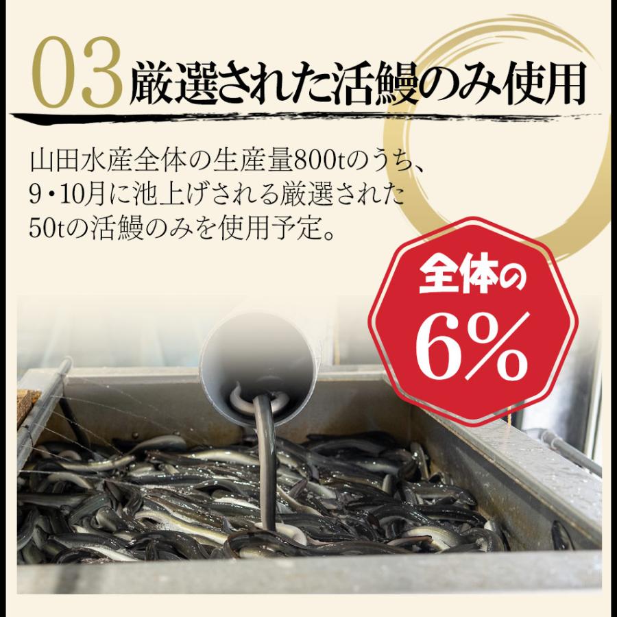 【完全無投薬】鹿児島県産 うなぎ白醤油焼き 約80g×5パック 鰻師 無投薬 ウナギ 白醤油焼き 鰻 うなぎ 誕生日 贈り物 国産 ギフト 小浜海産物 爆買_7