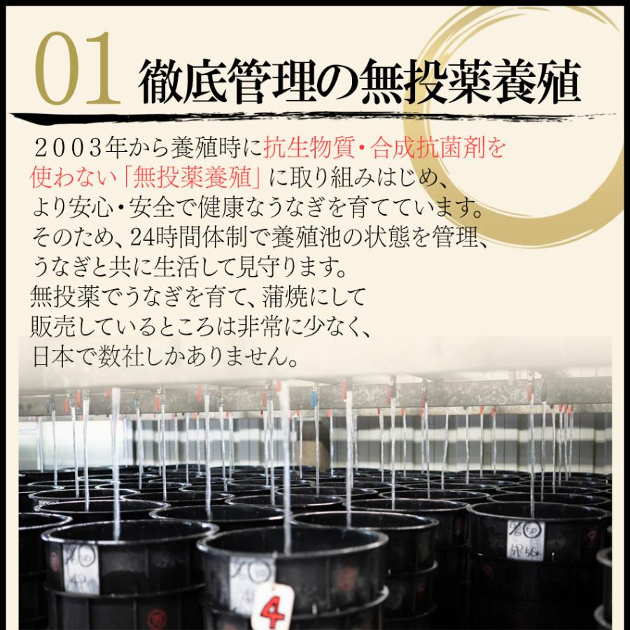 【完全無投薬】鹿児島県産 うなぎ蒲焼き粋 約80g×5パック 鰻師 無投薬 ウナギ 蒲焼き 鰻 うなぎ オーガニック 誕生日 贈り物 国産 ギフト 小浜海産物 爆買_5