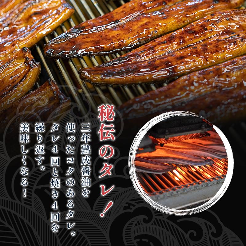 新仔うなぎ蒲焼き 国産 160g×2尾 鹿児島県産 無投薬 化粧箱 うなぎ 鰻 ウナギ 誕生日 贈り物 ギフト 送料無料 爆買 | 小浜海産物 | 12