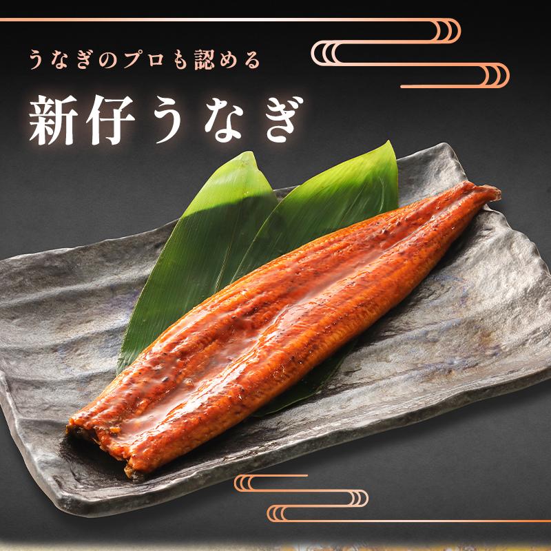 新仔うなぎ】大サイズ140g -170g 三河一色産 10尾セット 国産うなぎ