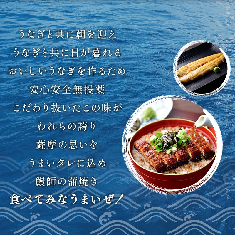 新仔うなぎ蒲焼き 国産 160g×3尾 鹿児島県産 無投薬 化粧箱 うなぎ 鰻 ウナギ 誕生日 贈り物 ギフト 送料無料 爆買 | 小浜海産物 | 10