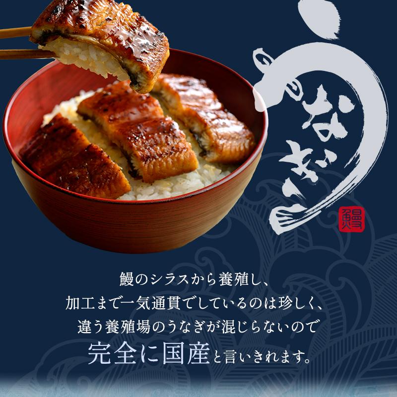 新仔うなぎ蒲焼き 国産 160g×3尾 鹿児島県産 無投薬 化粧箱 うなぎ 鰻 ウナギ 誕生日 贈り物 ギフト 送料無料 爆買 | 小浜海産物 | 14