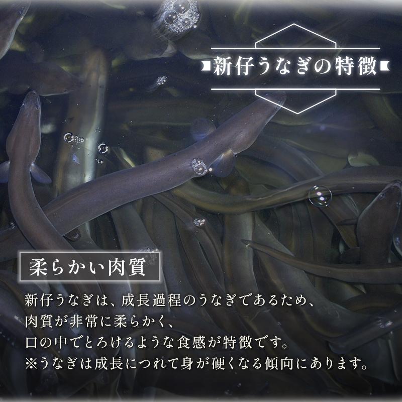 新仔うなぎ蒲焼き 国産 160g×3尾 鹿児島県産 無投薬 化粧箱 うなぎ 鰻 ウナギ 誕生日 贈り物 ギフト 送料無料 爆買 | 小浜海産物 | 03