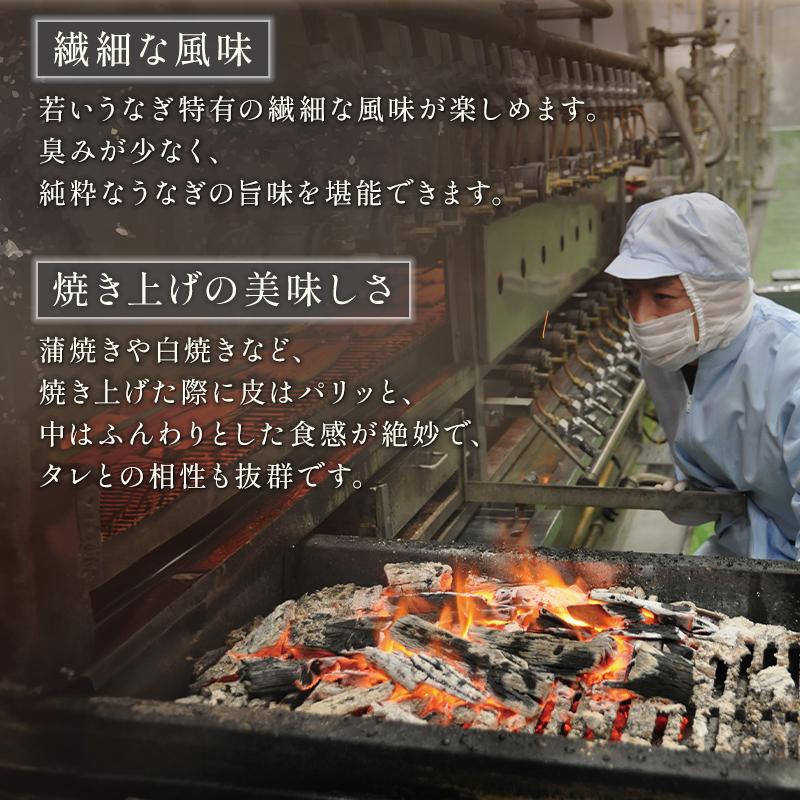 新仔うなぎ蒲焼き 国産 160g×3尾 鹿児島県産 無投薬 化粧箱 うなぎ 鰻 ウナギ 誕生日 贈り物 ギフト 送料無料 爆買 | 小浜海産物 | 06