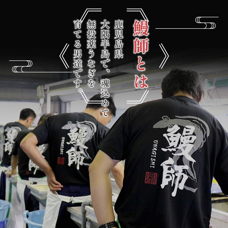 新仔うなぎ蒲焼き 国産 160g×3尾 鹿児島県産 無投薬 化粧箱 うなぎ 鰻 ウナギ 誕生日 贈り物 ギフト 送料無料 爆買 | 小浜海産物 | 08