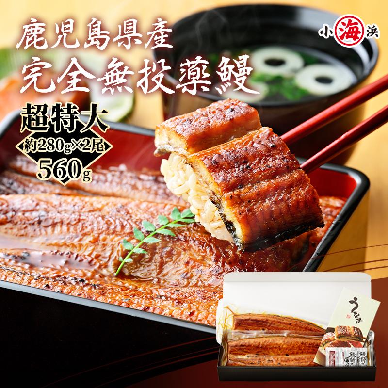 超特大 うなぎ蒲焼き 国産 約280g×2尾 完全無投薬 鹿児島県産 特大 化粧箱入 人気 鰻 贈り物 爆買 お中元 中元 土用 丑の日