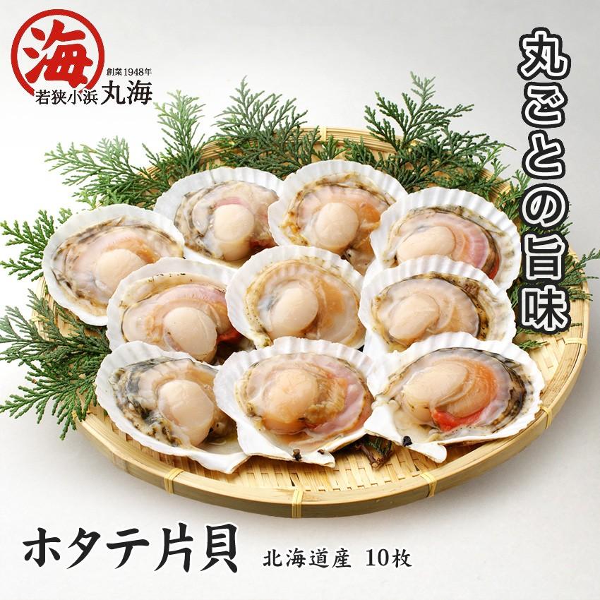 ホタテ ほたて 帆立 貝柱 返品送料無料 【同梱不可】 北海道産 10枚 ほたて貝柱 片貝