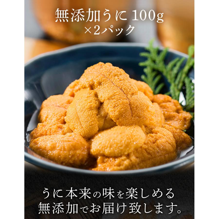 小浜海産物 ウニ うに 100g×2パック 生うに 無添加 雲丹 海鮮 小浜海産物 ウニ うに 100g×2パック 生うに 無添加 雲丹 海鮮
