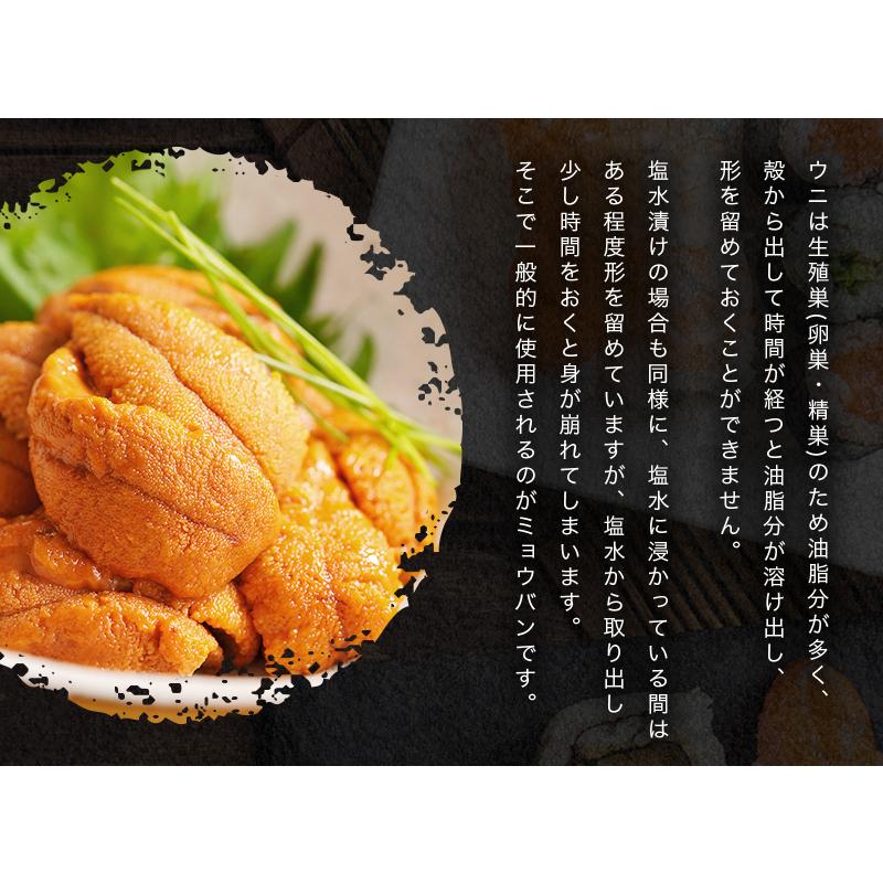 小浜海産物 ウニ うに 100g×2パック 生うに 無添加 雲丹 海鮮 小浜海産物 ウニ うに 100g×2パック 生うに 無添加 雲丹 海鮮