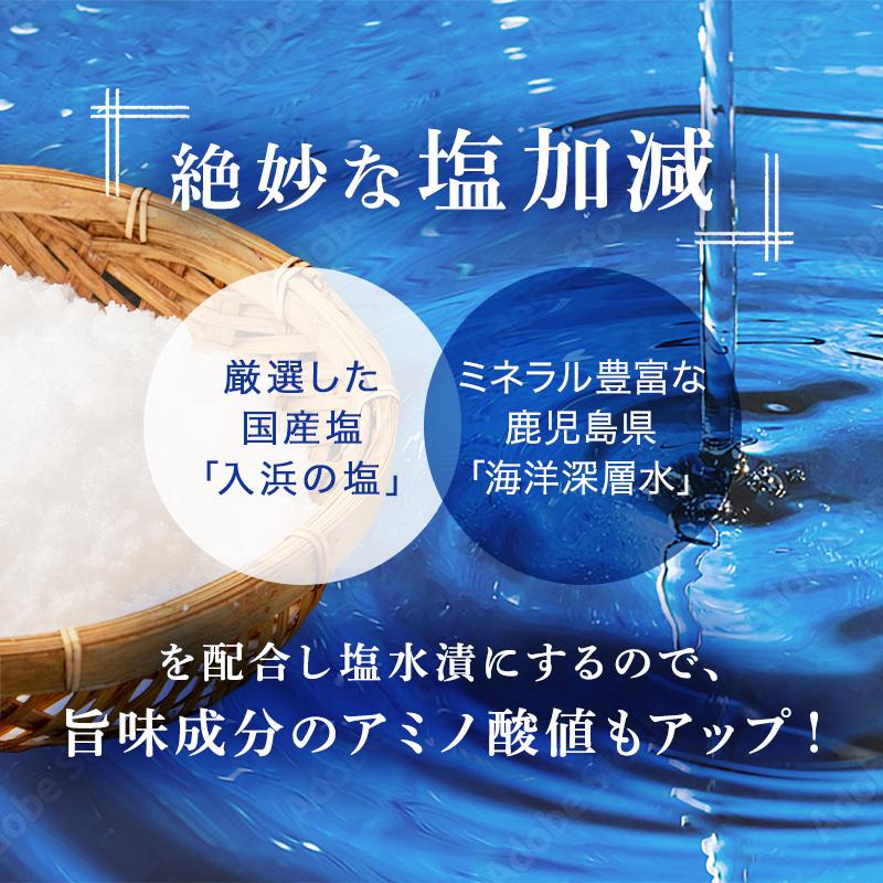 ししゃも 子持ち 干物 からふとししゃも 1kg(500g×2パック) 卵率15%以上 アイスランド産｜marukai｜06