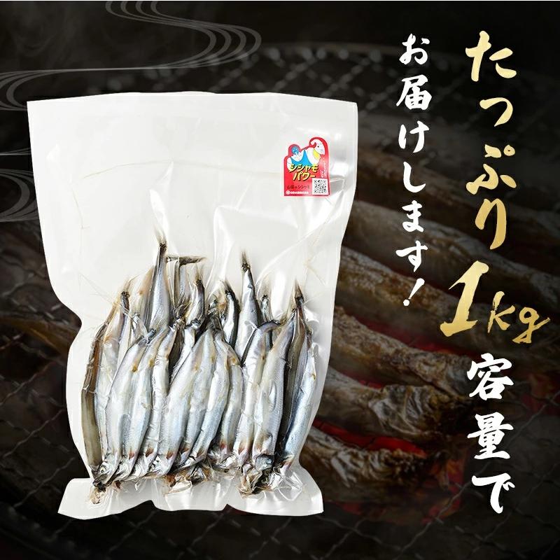 ししゃも 子持ち 干物 からふとししゃも 1kg(500g×2パック) 卵率15%以上 アイスランド産｜marukai｜10