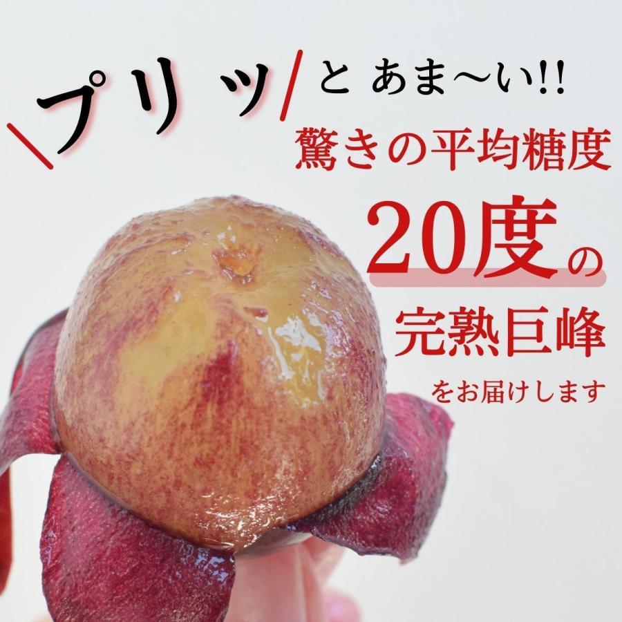 福岡 巨峰 1箱 1.5kg(3〜5房) 種あり ぶどう ブドウ 九州 田主丸