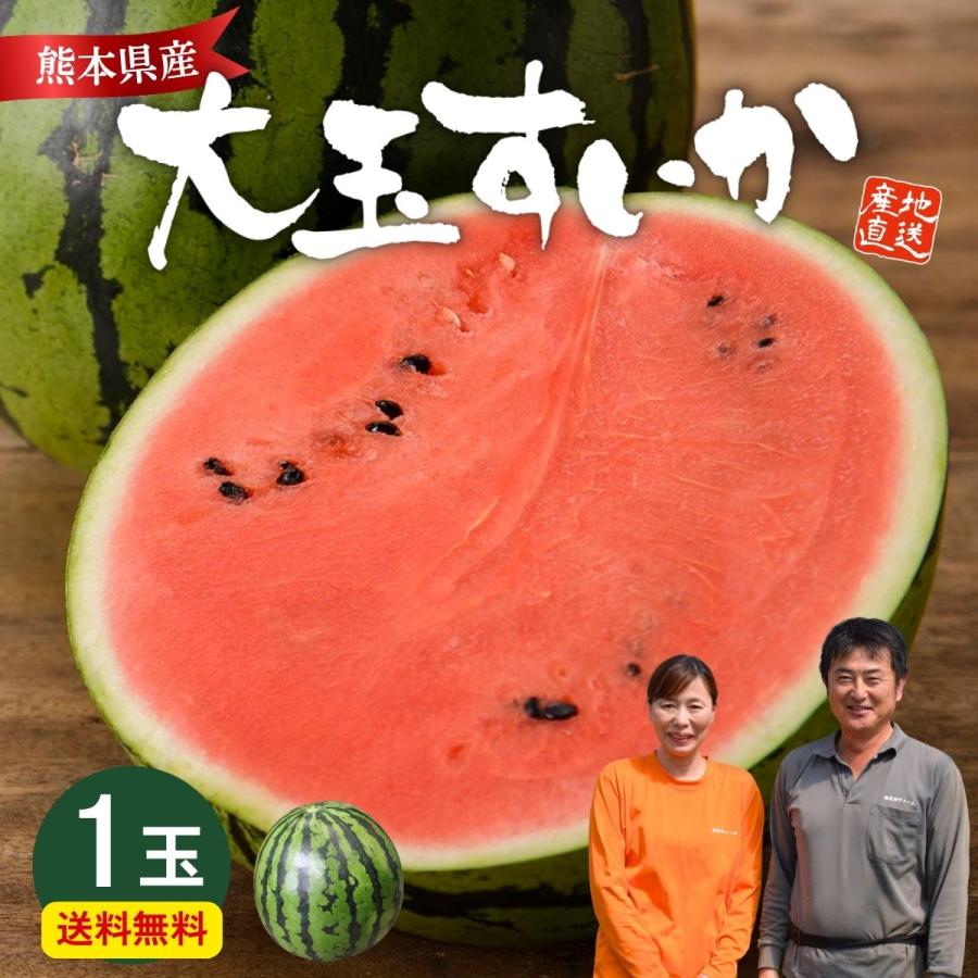 まもなく完売】スイカ 熊本 大玉 1玉 2L (約7〜8kg) 大玉すいか 植木