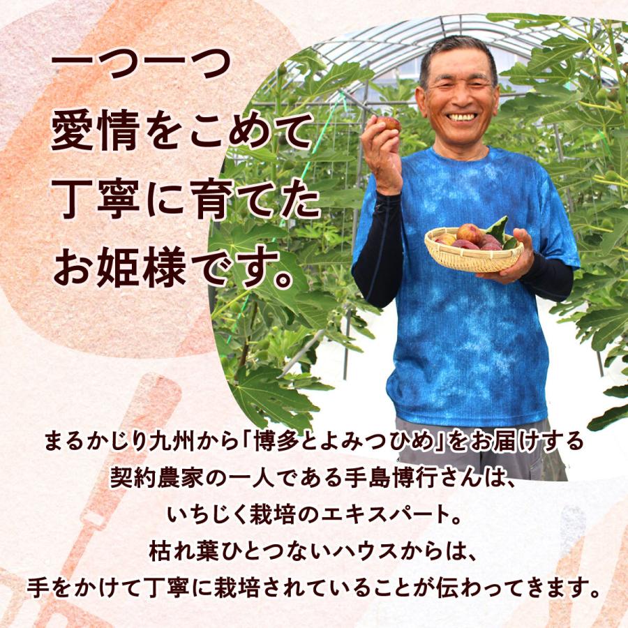 いちじく とよみつひめ 生 福岡 博多 1箱 約800〜900g 9玉または12玉