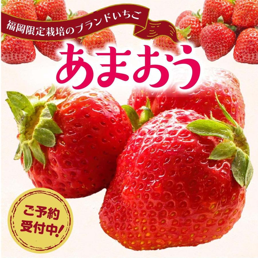 まるかじり九州 まもなく完売 あまおう 福岡 送料無料 いちご 1 まるかじり九州 まもなく完売 あまおう 福岡 送料無料 いちご 1