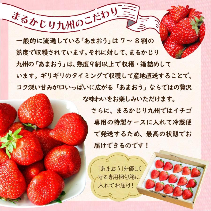 まるかじり九州 いちご あまおう 福岡 送料無料 1箱 約400g 12粒または