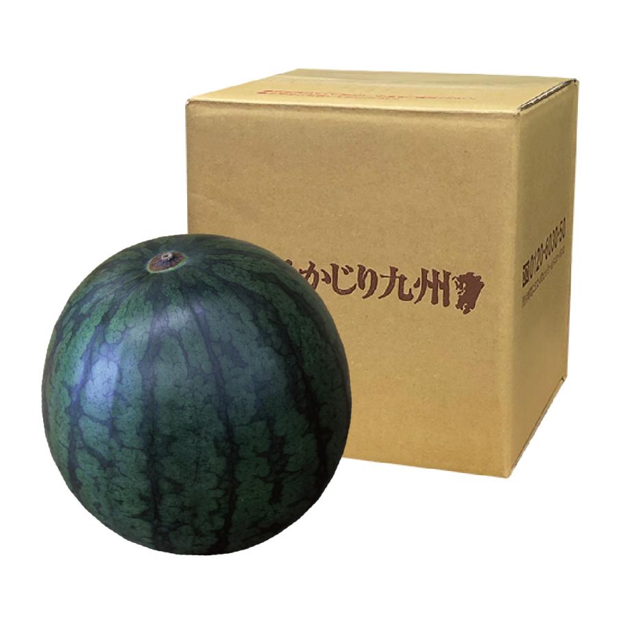 熊本県産 黒小玉すいか ひとりじめbonbon 1玉 約1 8kg 6月中旬 下旬お届け 3玉以上で送料無料 自宅用 食べごろ 少人数にオススメ 夏ギフト まるかじり九州 通販 Yahoo ショッピング