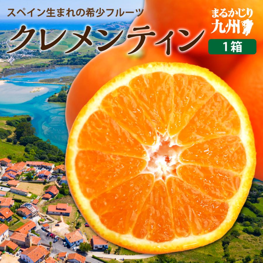 送料無料 佐賀県産 みかん クレメンティン クレメンタイン 1箱 送料無料 佐賀県産 みかん クレメンティン クレメンタイン 1箱