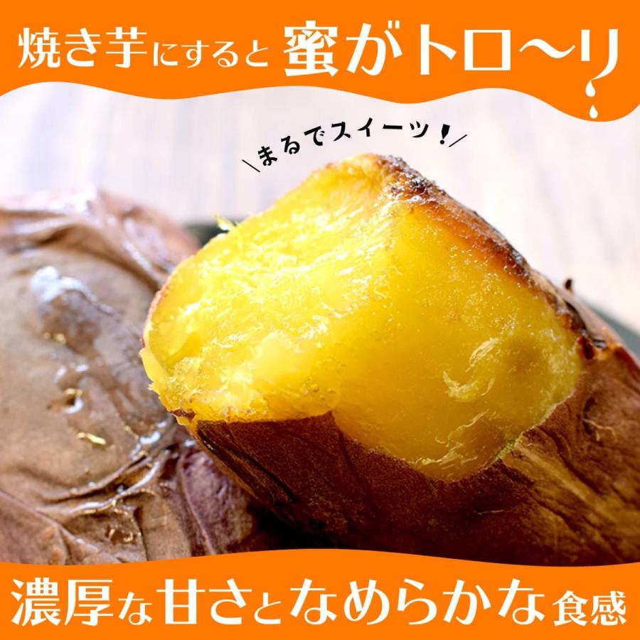 まるかじり九州 さつまいも 紅はるか 鹿児島 糖匠 紅蜜いも 1箱 M〜2L