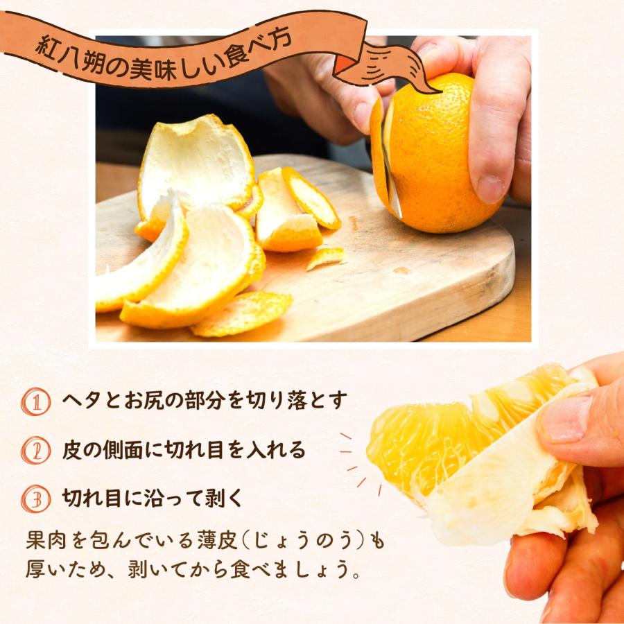 まるかじり九州 送料無料 有機栽培 佐賀 紅八朔 1箱 約2kg 紅 まるかじり九州 送料無料 有機栽培 佐賀 紅八朔 1箱 約2kg 紅