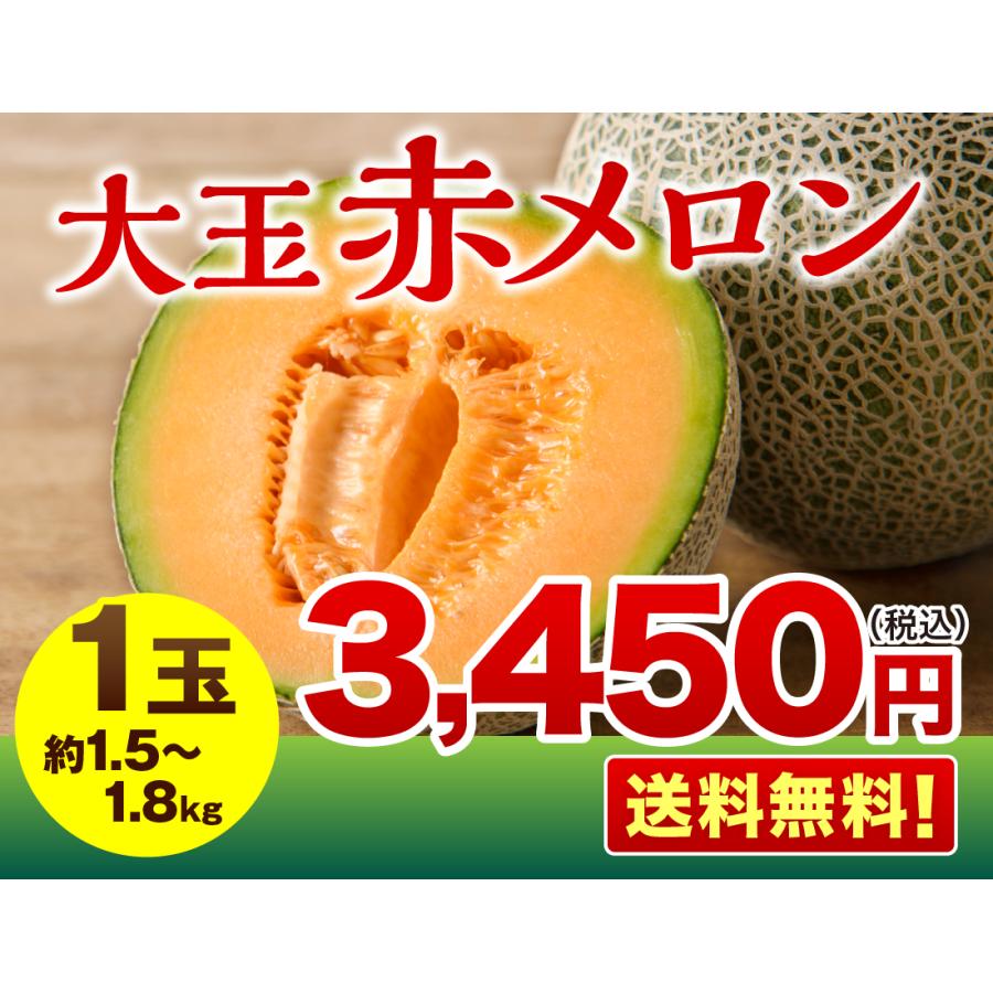 【送料無料】大玉赤メロン 1玉(1.5〜1.8kg) メロン 赤肉メロン 九州 熊本 八代 マリアージュ レノン クインシー ご当地 産地直送 ギフト 贈答｜marukajiri-kyushu｜02