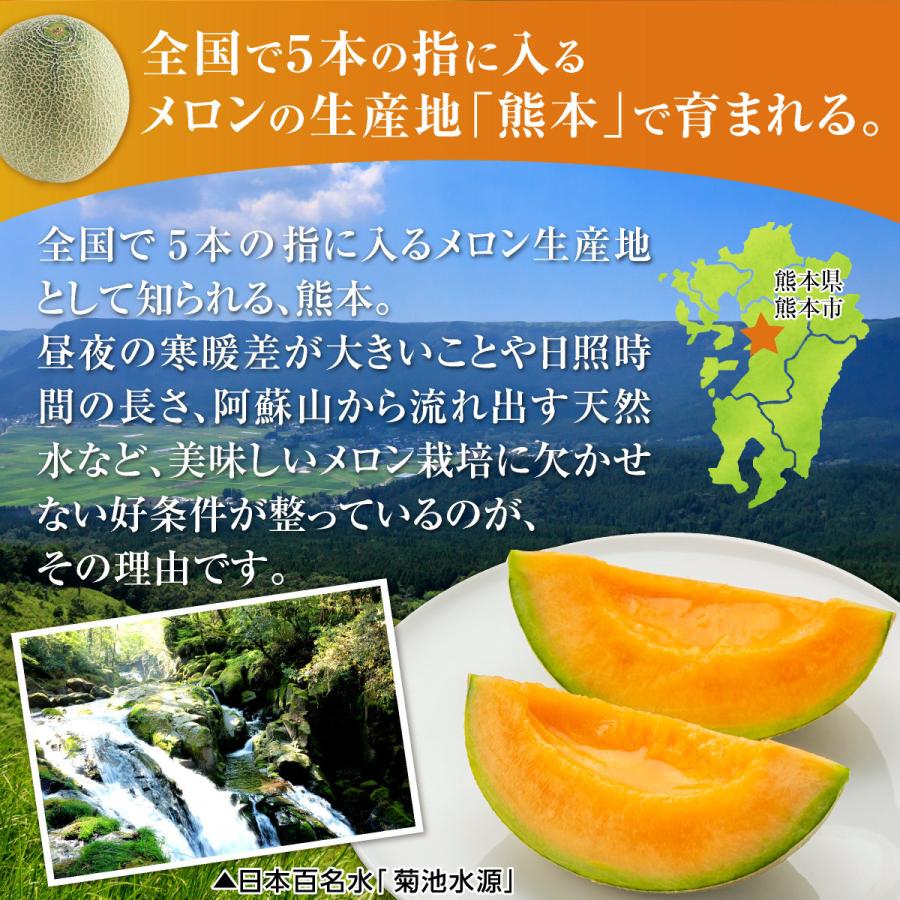 熊本県産　クインシーメロン【赤肉】　5×2箱　計10玉　セット クインシーメロン 熊本県産 赤肉 メロン 2～3Lサイズ 優品以上 4～5玉